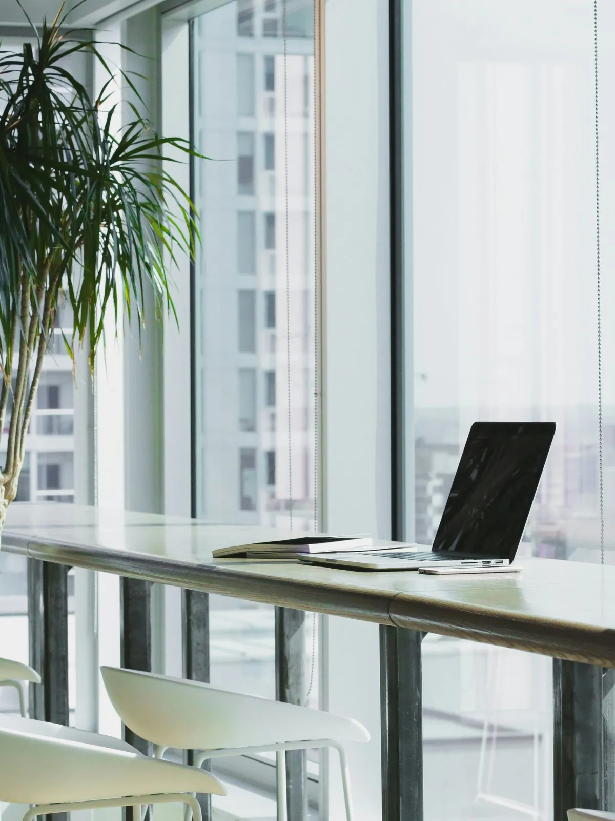 A laptop on a glass desk beside a potted plant in a bright office overlooking the city
