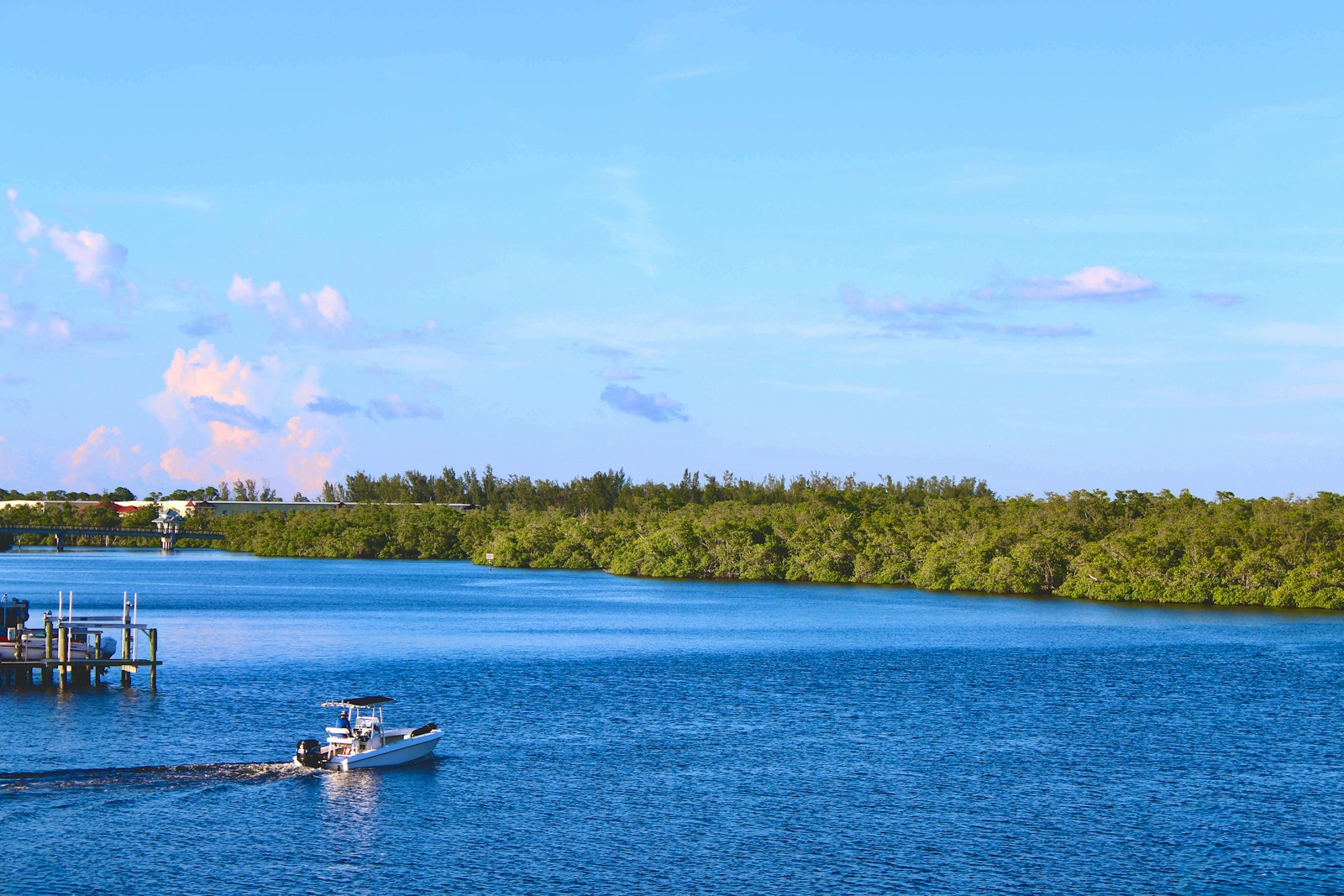 A small boat travelling a wide river beside mangroves
