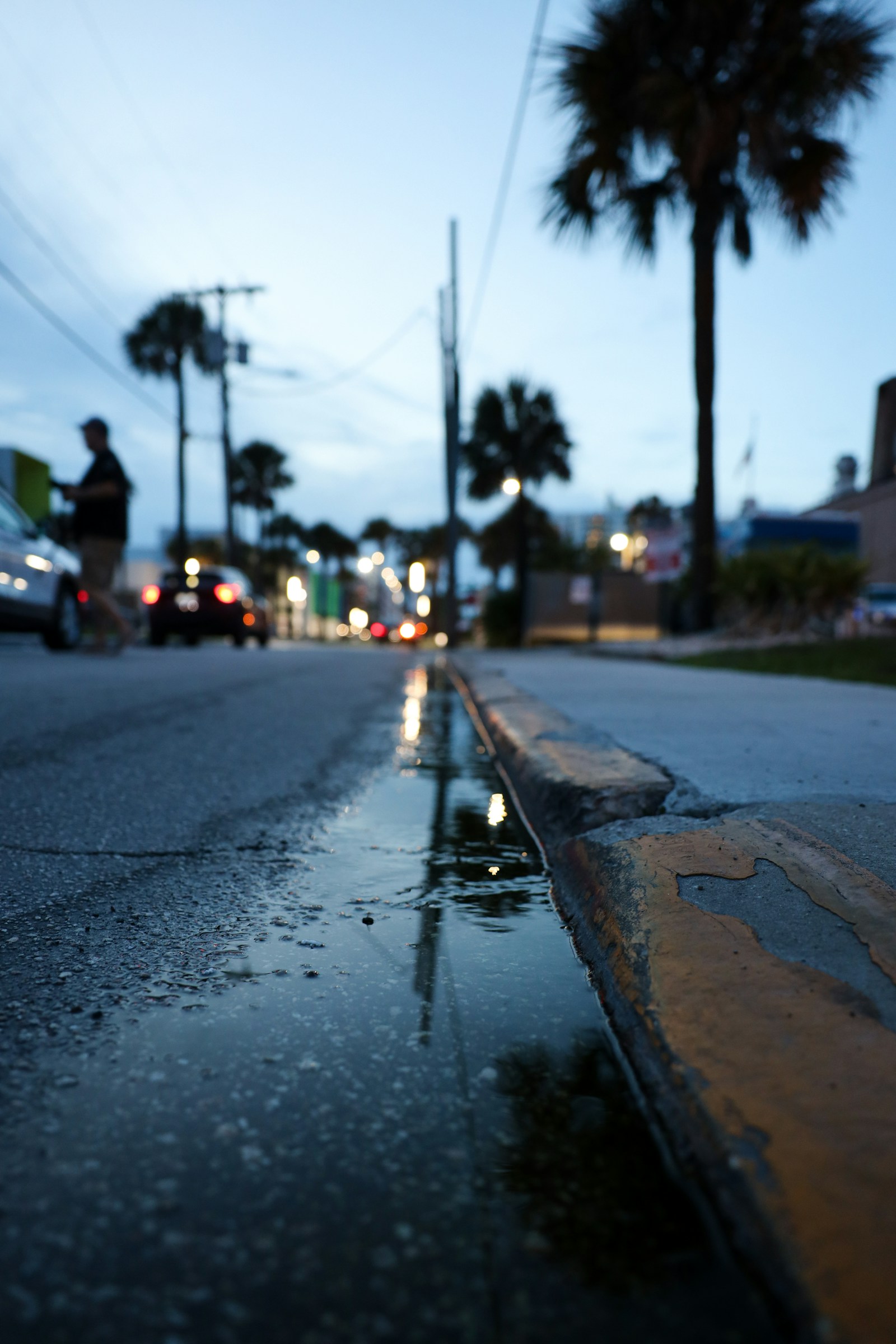 Standing water along a street curb after rain