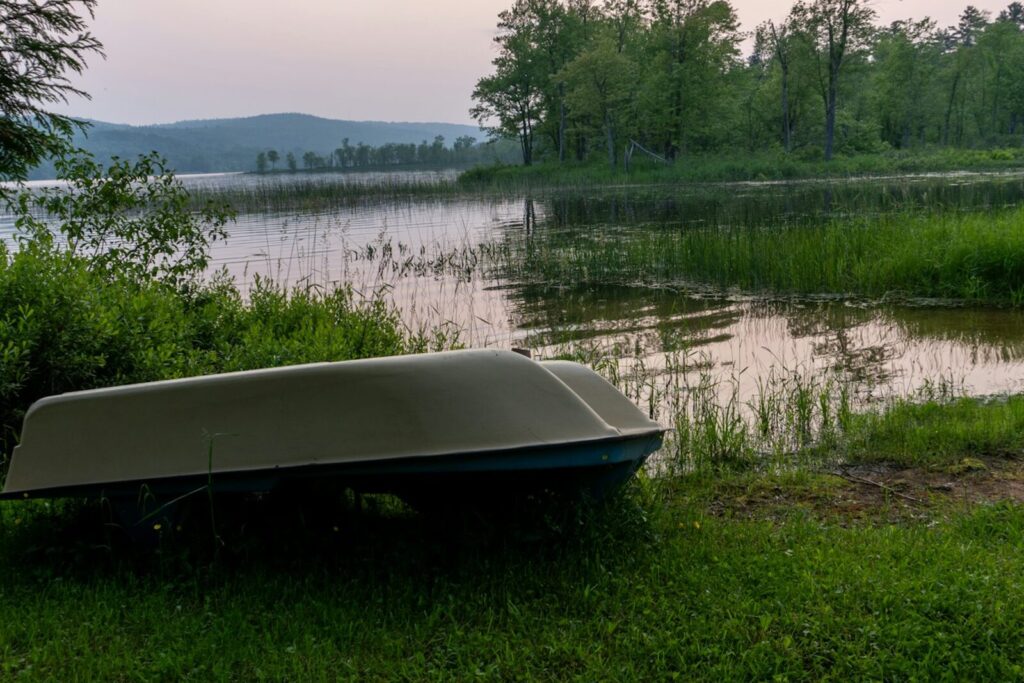 A small boat pulled up on a grassy bank beside calm inland water
